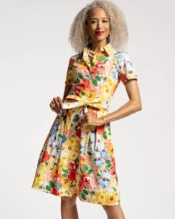 Bella Dress Picnic Print